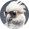 caro_jeux